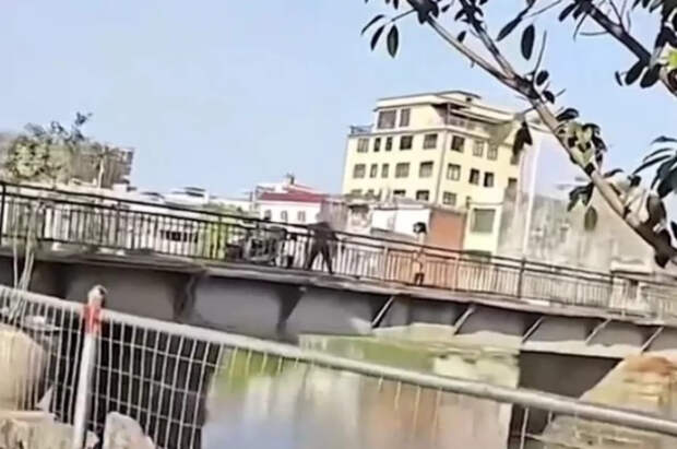 В Китае мужчина во время ссоры с женой сбросил ребенка с моста в реку