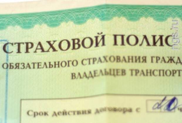 Страхование во владимире. Страховой полис на свадьбу прикольные. Прикольные страховые полисы на свадьбу для гостей.