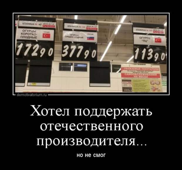 Новые прикольные демотиваторы (20 фото)