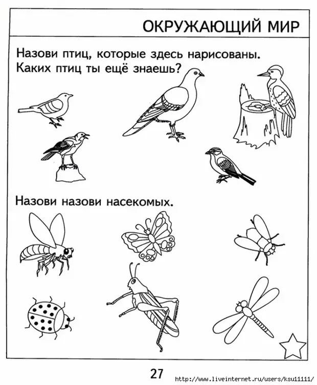 Тест назови картинку для дошкольников