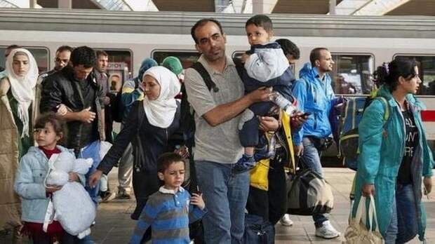 "Что их сюда манит, медом намазано?" - Вика Цыганова удивилась такому количеству иностранных переселенцев