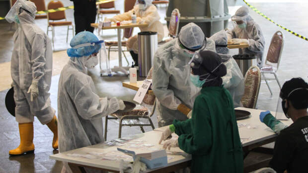 Нипах похож на COVID-19? Академик РАН Горелов о сравнении двух вирусов