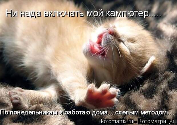 Ни нада включать мой кампютер..... По понедельникам я работаю дома....