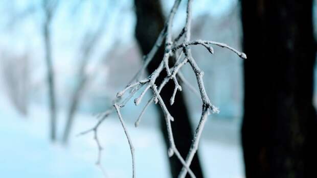 До -3. О погоде в Барнауле 7 февраля