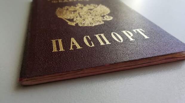 У 400 бывших иностранцев за полгода отобрали гражданство РФ