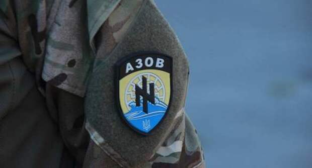 Украинские неонацисты в военизированных лагерях готовят детей для будущего терроризма (ВИДЕО) | Русская весна