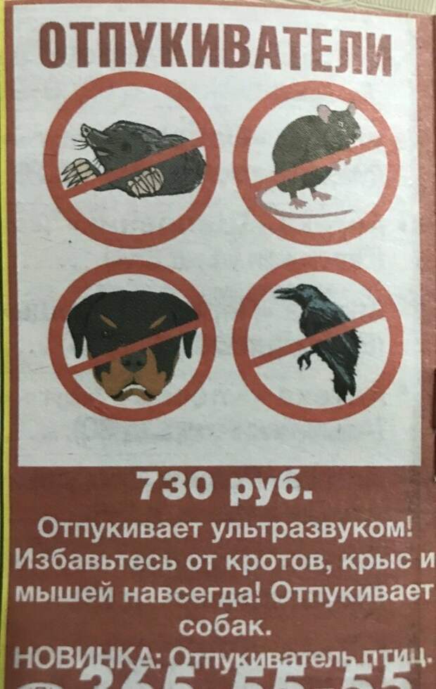 Очепятки, как результат проверки на внимательность Очепятки, как результат проверки на внимательность
