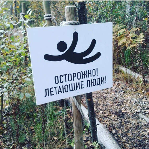Любители полетать. | Фото Pikabu. Любители полетать. | Фото Pikabu.