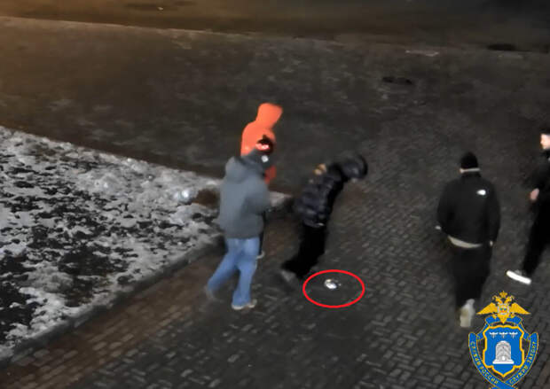 В центре Тамбова пятеро вандалов разбили елочные игрушки на Арбате