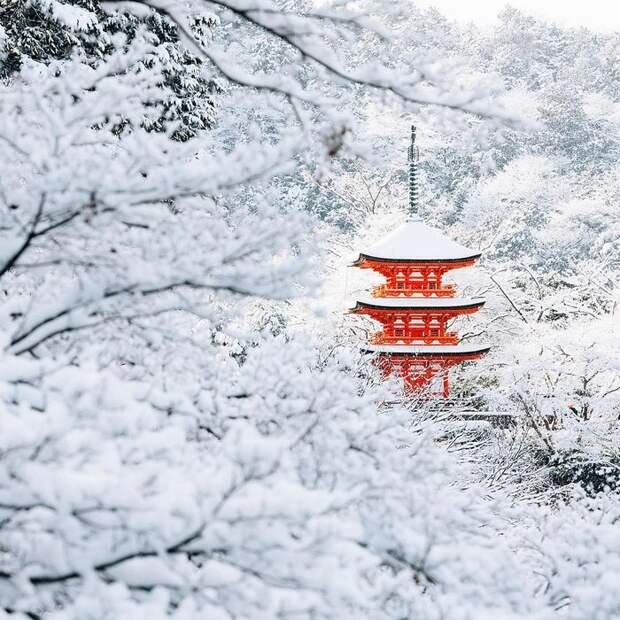 1. Волшебная красота Киото. 