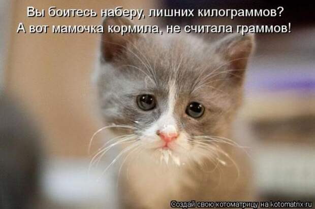 Котоматрицы(картинки с надписями)