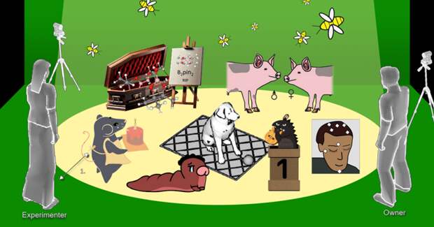 Пришли за картинками — часть 2