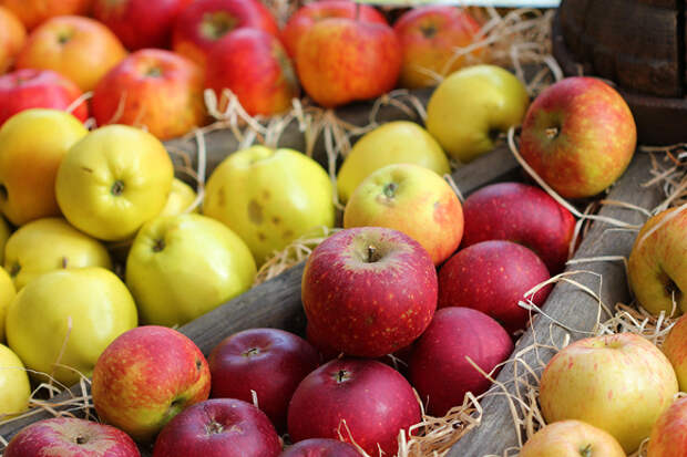 Как сделать вкусные моченые яблоки