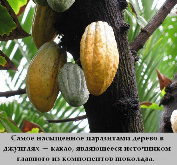 Интересности обо всем