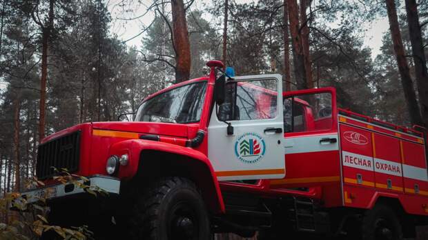 Нижегородская область признана готовой к пожароопасному сезону