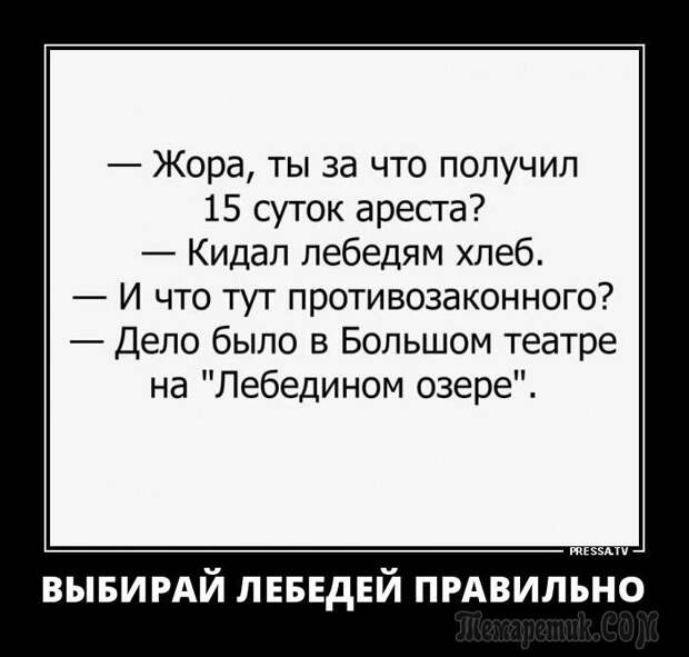 Демотиваторы и просто смешные фото со страниц интернета