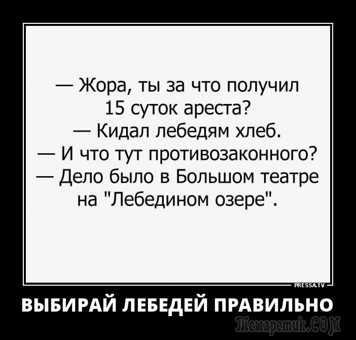 Демотиваторы и просто смешные фото со страниц интернета