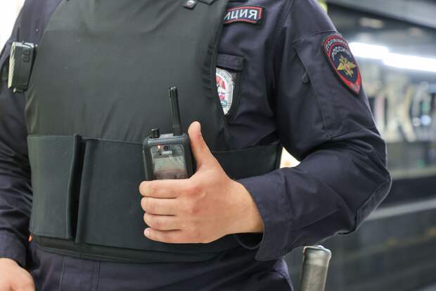 В Москве мужчина погиб, упав под поезд в метро