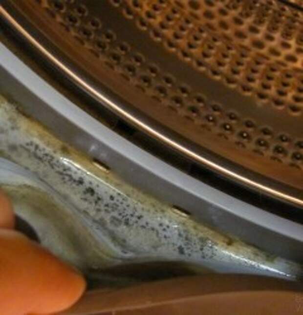 Как почистить стиральную машинку от плесени.