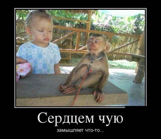 Демотиваторы (30 фото)