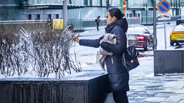 Синоптик Макарова пообещала тёплую погоду в европейской части России до 20 февраля