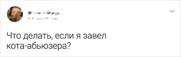 Подборка забавных твитов Подборка забавных твитов