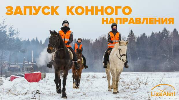 Тульский отряд "ЛизаАлерт" запустит конное направление для поиска пропавших людей