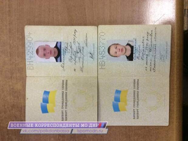 паспорт украинского солдата