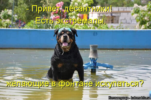 1 (700x463, 350Kb)