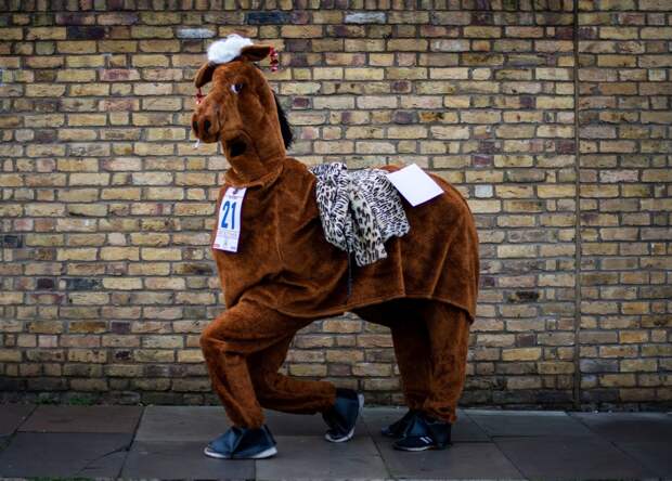 Веселая гонка лошадей London Pantomime Horse Race 2018