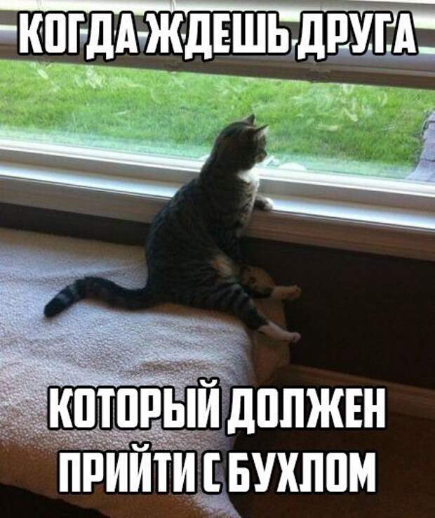 Клуб анонимных алкоголиков.