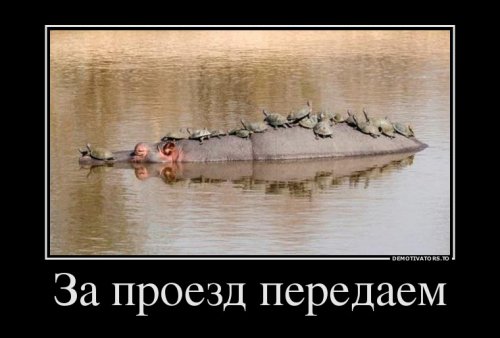 Свежие демотиваторы (19 шт)
