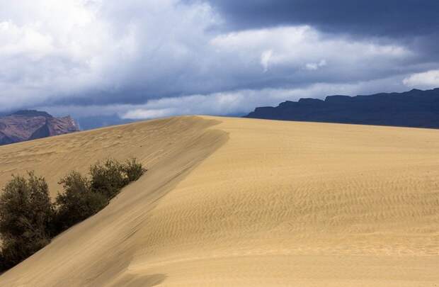 dyuny-maspalomas-03