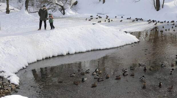 Малые реки и ручьи Москвы почистили перед весенним половодьем