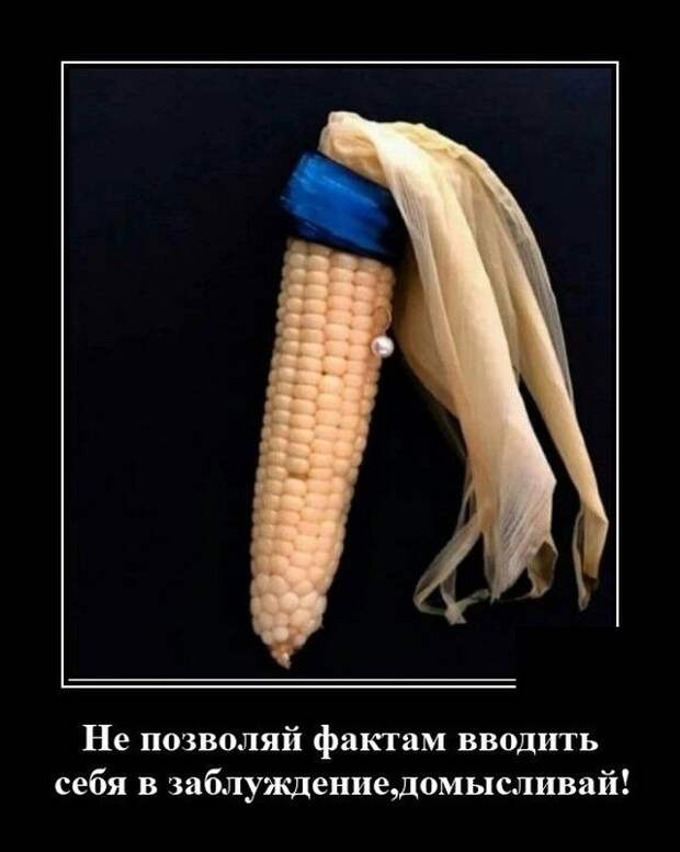 demotivatory-demotivator-smeshnye-demotivatory-demotivator-so-smyslom