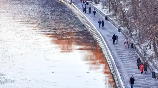 Синоптик рассказал о редкой для Центральной России изморози в Москве