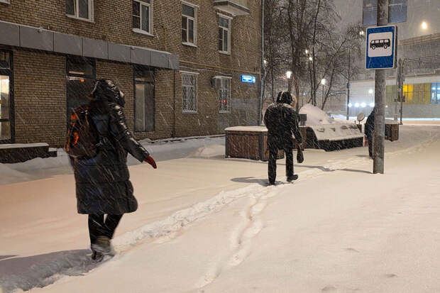 Собянин: сегодня в Москве выпадет более 70% от месячной нормы снега