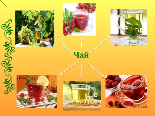 Проект по чаю 10 класс