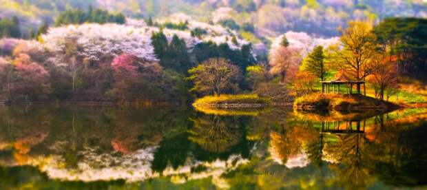 Фотография Dream of spring автор Jaewoon U на 500px