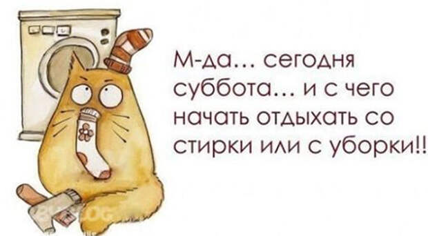 Сегодня суббота. Юмористические картинки специально для вас Сегодня суббота. Юмористические картинки специально для вас