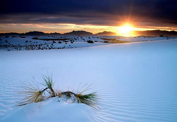 Пустыня Белых Песков (White Sands Desert)