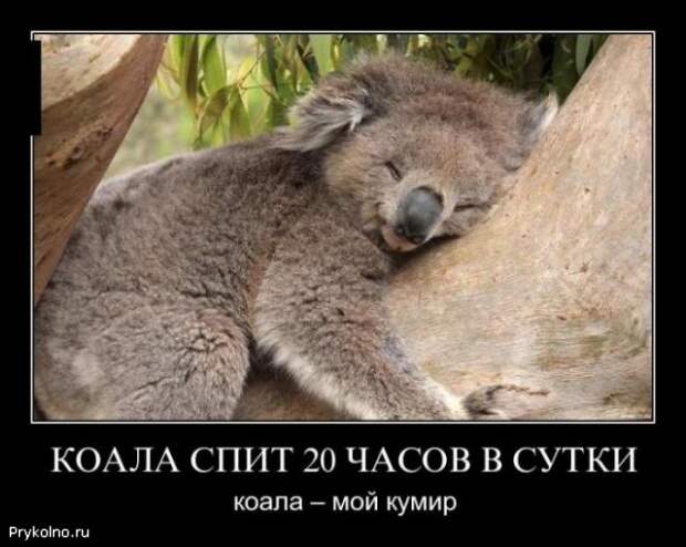 Самые смешные демотиваторы
