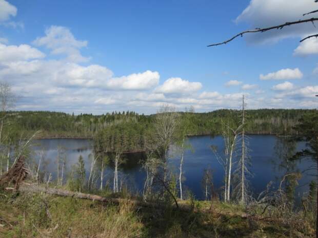 image sweden-fishing-0070-jpg