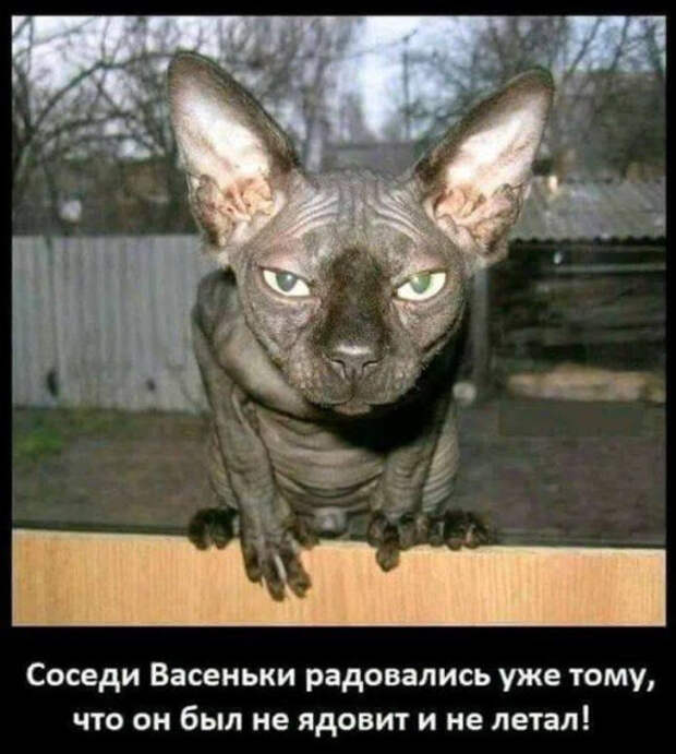 «Солидная фирма приглашает опытных бездельников для работы в конкурирующей организации»