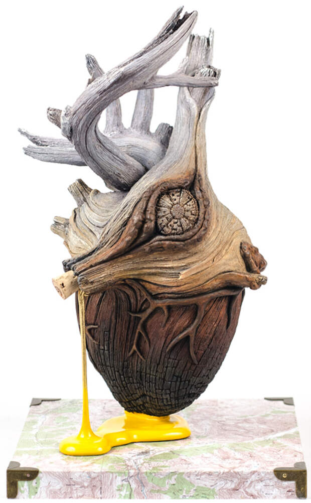 Сердце. Автор: Christopher David White.