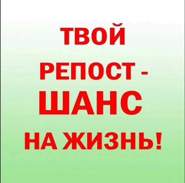 Эта маленькая крошка очень хочет стать домашней, но у неё есть только два дня. Присмотритесь, пожалуйста, к ней!
