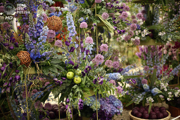 Выставка цветов и ландшафтного дизайна Chelsea Flower Show 2014