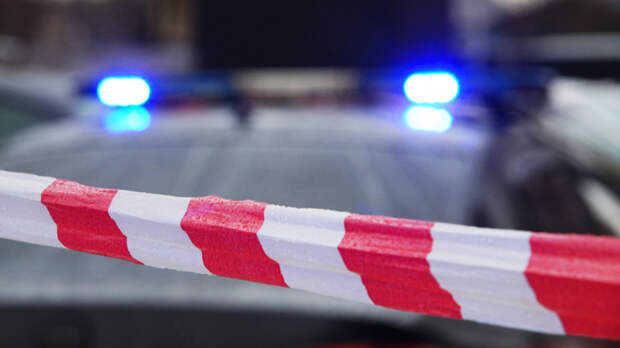 Ссора закончилась огнем: в Люберцах женщина заживо сожгла троих знакомых