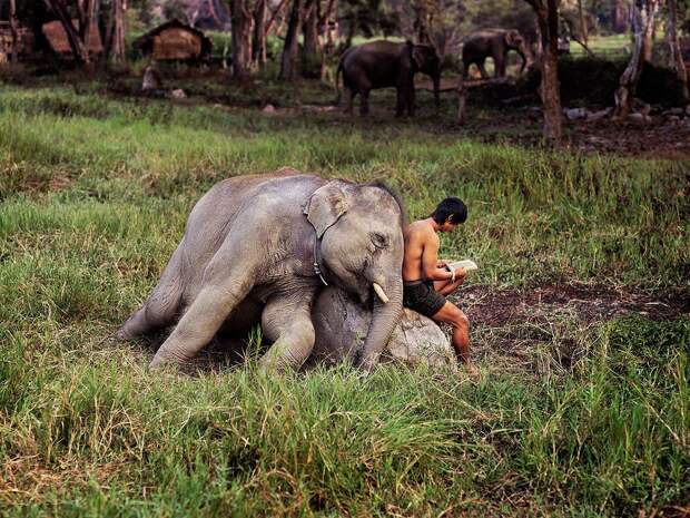 McCurry25 Самые красивые фотографии Стива Мак Карри со всего света