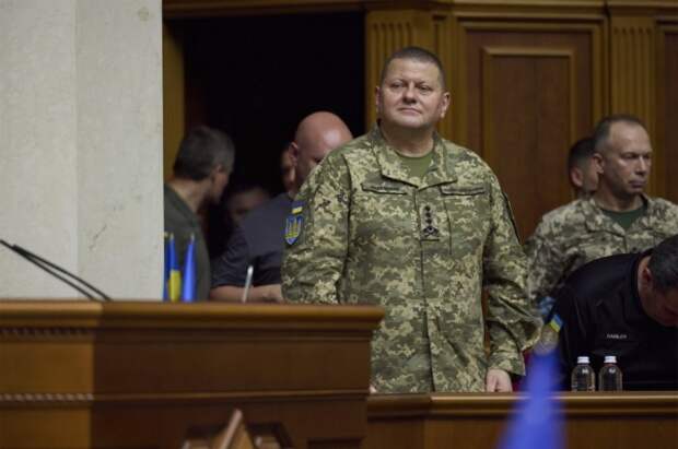 Царев: информация об аресте Залужного СБУ поступает с Украины